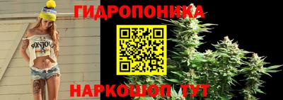 тгк Тверь