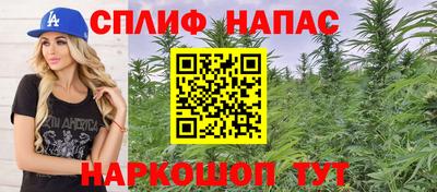 дживик Тара