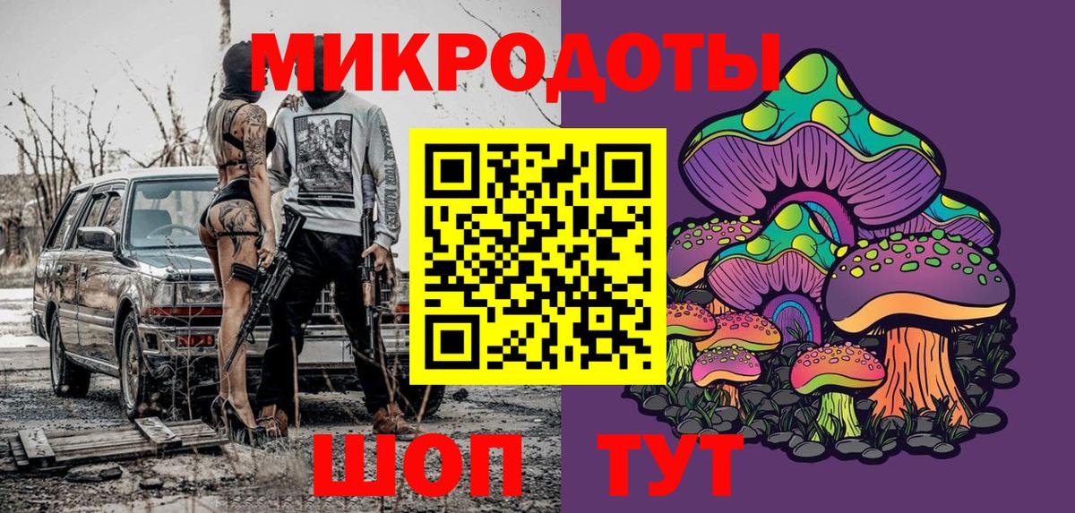 Галлюциногенные грибы Psilocybe Вятские Поляны